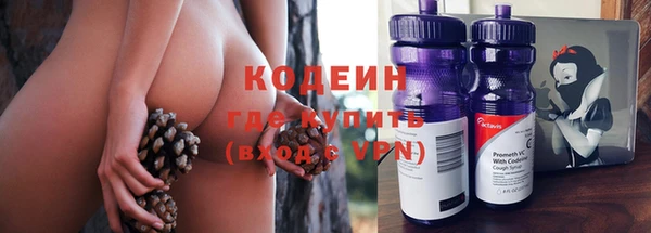 молекула духа Переславль-Залесский
