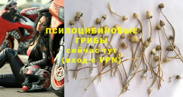 гидропоника Пестово
